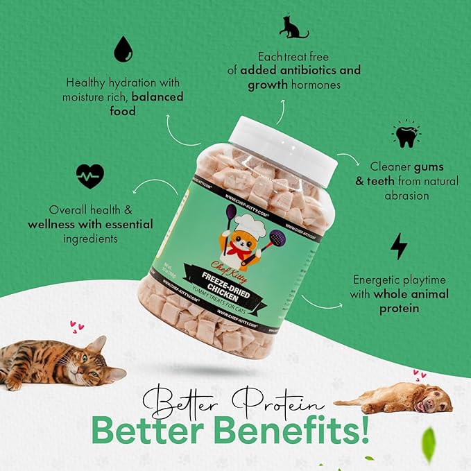 Freeze-Dried Chicken Treats for Cats & Dogs – 100% Human Grade, Single Ingredient, High-Protein, Healthy Snack – No Additives or Preservatives – 3.5oz - Inspected & Tested in USA-PawvioPets