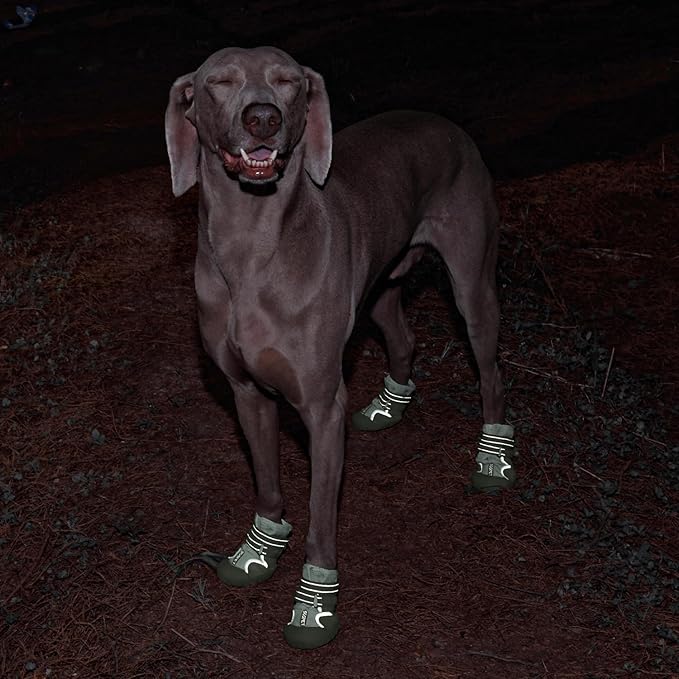 Dog Shoes, Waterproof Dog Boots & Paw Protectors with Anti-Slip Sole, 4pcs/Set Pet Dog Booties, Reflective Dog Shoes for Small Medium Large, Winter Snowy Summer Hot Pavement (Green, 5# (M))-PawvioPets