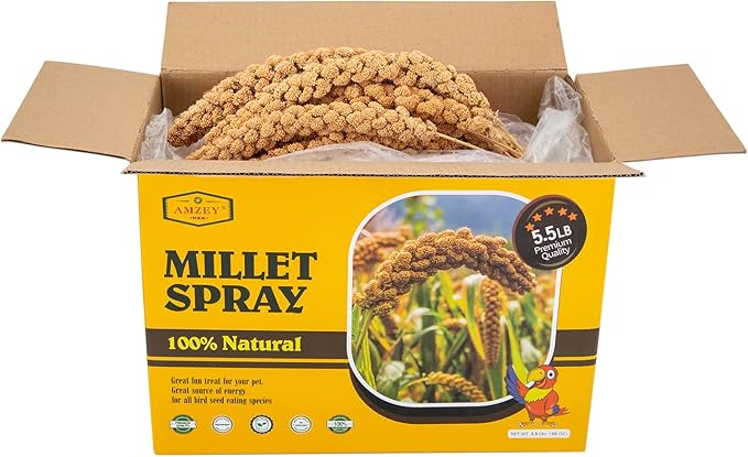 Amzey 5.5 LB Spray Millet for Parakeets, 100% Natural Dried Millet Grain for Birds, Non-GMO Bird Treat for Cockatiel, Finches, Parrots & Lovebirds-PawvioPets
