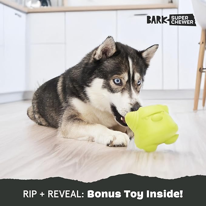 Barkbox Torbert The Troll Dog Toy for Large Dogs, Natural Rubber with Wacky Bounce Perfect for Aggressive Chewers and Long-Lasting Playtime-PawvioPets