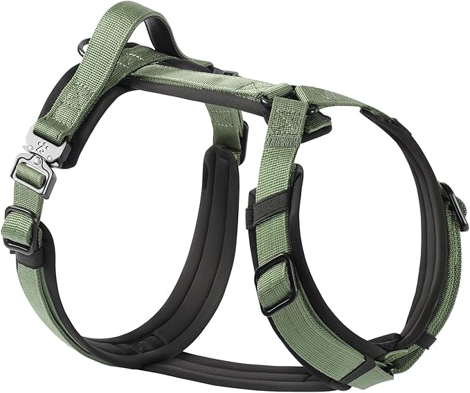 CLEPAWS Dog Harness for X-Large Dogs, No Pull Dog Harness Easy Walk with Metal Hardware, Ergonomic Y-Shaped Design, Soft Padding, Padded Handle, Durable High-Tensile Nylon (Evergreen, XL)-PawvioPets