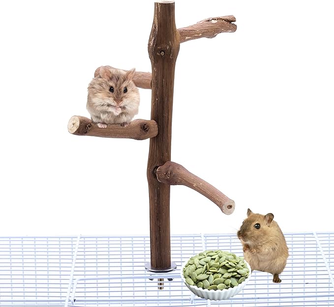 Bird Perch Stand Toy, Natural Grapevine Wood Parrot Perch Bird Cage Branch Accessories for Parakeets Cockatiels Conures Macaws Finches Love Birds(9.8" Length)-PawvioPets