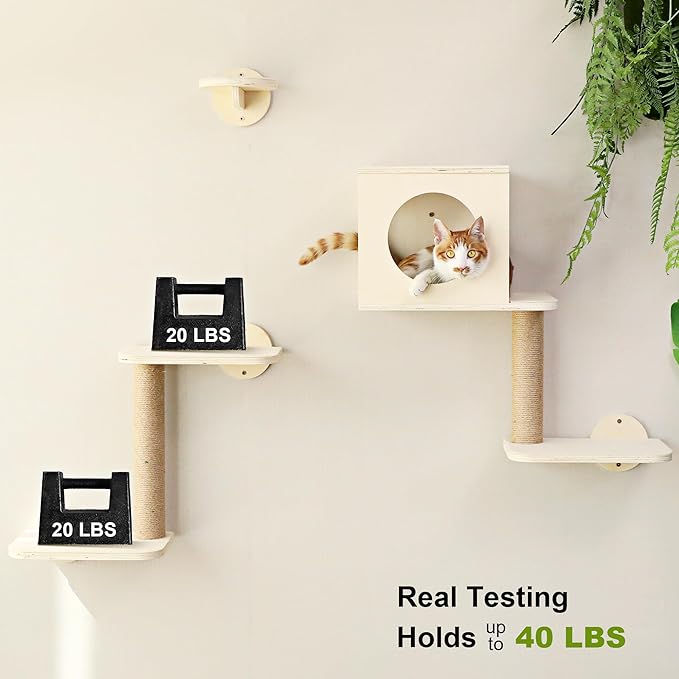 FUKUMARU Cat Wall Shelves, 5-Piece Stable Wooden Wall-Mounted Furniture Set, Kitty Climber with Hammock, House, Steps, Scratching Post (Beige)-PawvioPets