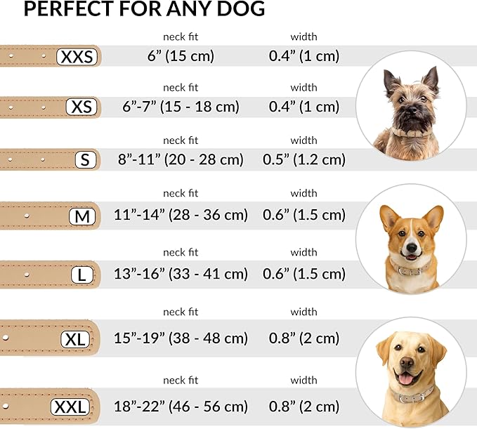 CollarDirect Rolled Leather Dog Collar, Soft Padded Round Puppy Collar, Handmade Genuine Leather Collar Dog Small Large Cat Collars 13 Colors (11-14 Inch, Beige Textured)-PawvioPets