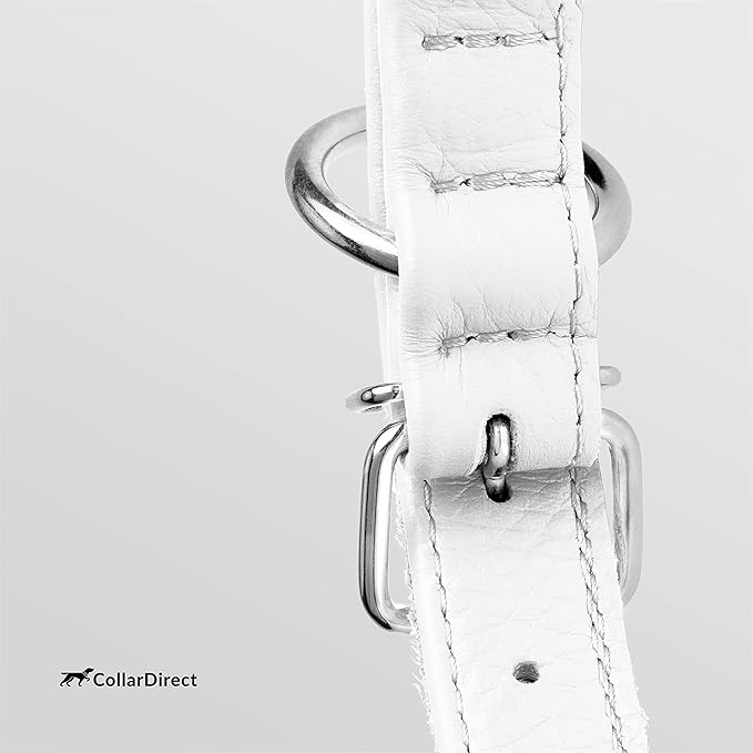CollarDirect Rolled Leather Dog Collar, Soft Padded Round Puppy Collar, Handmade Genuine Leather Collar Dog Small Large Cat Collars 13 Colors (18-22 Inch, White Textured)-PawvioPets