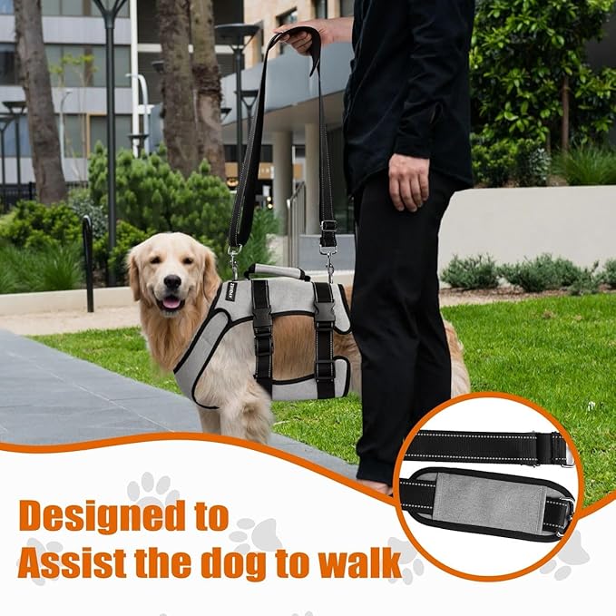 Ayquez Dog Lift Harness with Storage and Transport Bag, Dog Harness with Handle for Lifting & Hip dysplasia, arnés para Perros pequeños, pechera para Perros (Gray, L)-PawvioPets