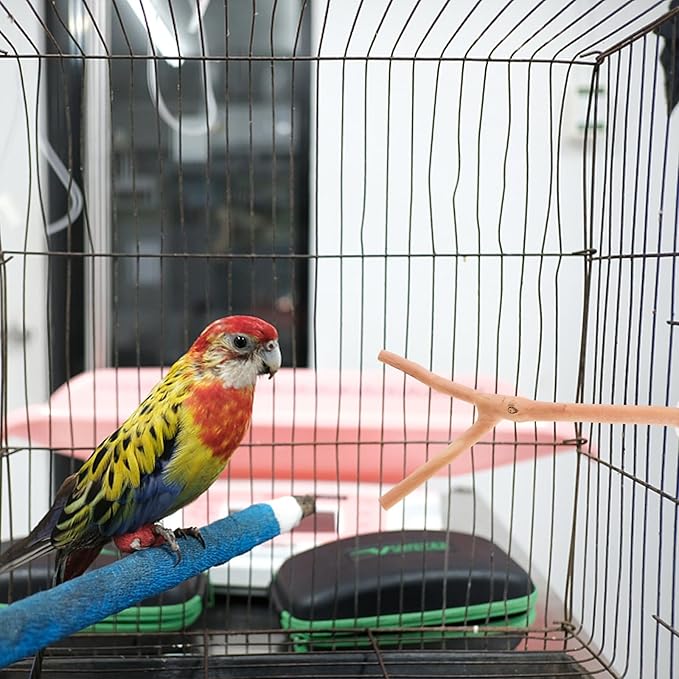 2pcs Bird Parrot Perch Stand Poles, Natural Wooden Parrot Perch for Cage, Branches Fork Rod for Small Parakeets Cockatiels Conure Lovebirds Bird Cage Accessories-PawvioPets
