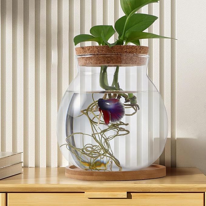 Desktop Fish Bowl Clear Glass Small Betta Fish Tank with Wood Lid and Bamboo Stand Table Hydroponic Plants Terrarium for Home Office Decoration 13 * 14cm-PawvioPets