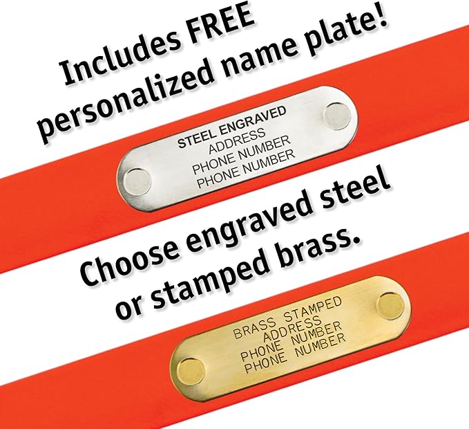 Biothane Custom Dog Collar – Waterproof, Stink-Proof Personalized Collar with Name & Phone Number – Durable, Many Sizes and Colors – Assembled in USA (Black)-PawvioPets