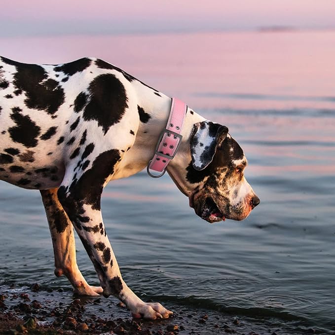 Fida Heavy Duty Dog Collar 1.5” Width, Ultra Soft Neoprene Padded, Adjustable Reflective Nylon Pet Collar with Two Metal Pin Belt Buckle for Large/X-Large Breeds (XL, Pink)-PawvioPets