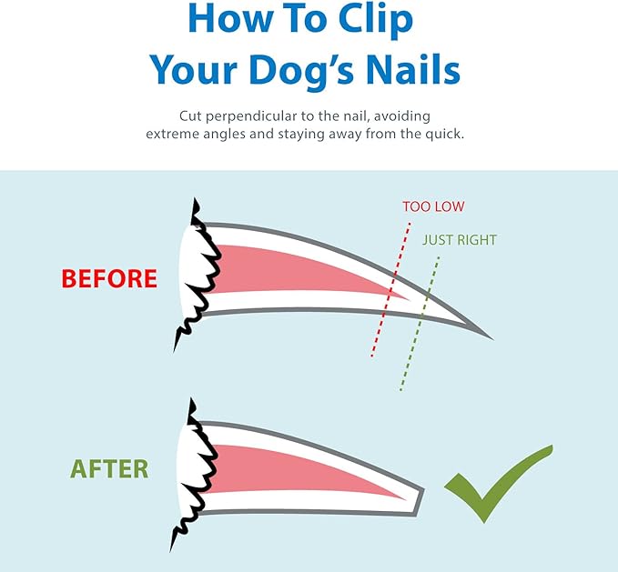 Flexzion Dog Cat Nail Clipper and Trimmer, Pet Toe Claw Scissor Grooming Tool with Stainless Steel Blades File Easy Grip Handle Safety Guard Avoid Overcutting for Small Medium Large Breed Puppy, Blue-PawvioPets