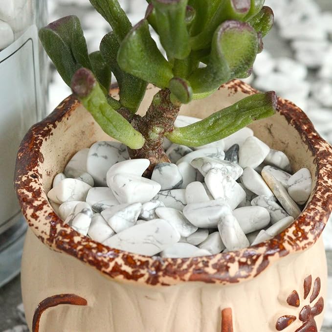 1lb Howlite Aquarium Gravel Rocks Natural Tumbled Healing Crystal Chips Bulk Gemstones Crushed Stones for Fountain Vase Filler Planters Decorative Fish Tank Potted Reiki Energy Balancing-PawvioPets