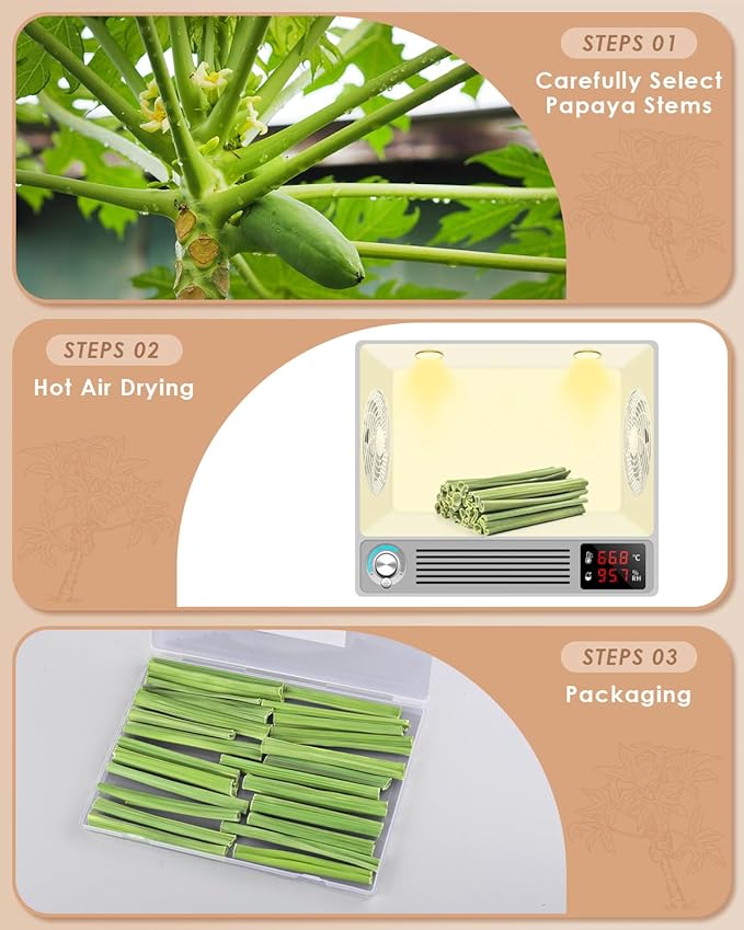 Bissap 25 PCS Guinea Pigs Chew Sticks, Natural Papaya Stems Bunny Chews Treats for Hamsters Chinchillas Small Animals Organic Molar Chewing Snack-PawvioPets