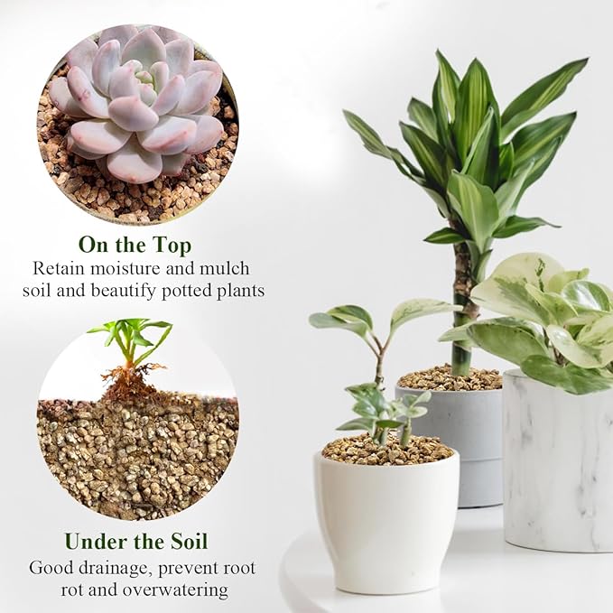 2 lbs Maifanitum Stones for Succulent,1/4 Inch Decorative Rocks for Indoor Plants, Bonsai, Soil Cover. Small Stone of Lightweight for Promote Soil Root Growth, Water Drainage and Plant Growth-PawvioPets