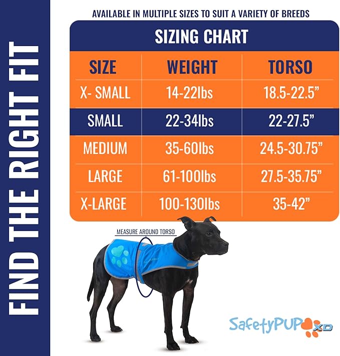 Dog Reflective Vest – Hi-Vis Fluorescent Visibility That Helps to Safeguard Your Pet On/Off Leash in Urban & Rural Areas (Blue, Small)-PawvioPets
