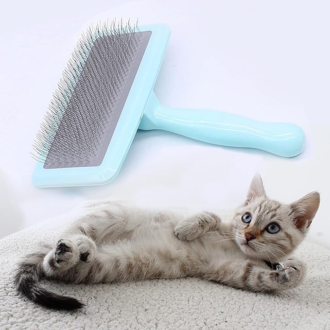 Air Cushion Slicker Brush for Dogs Cats,Soft Pin Shedding Brush for Short Haired Dog,Cat, Pet Grooming Wire Brush for Thin Curly Matted Tangled Hair,14mm(0.55"),Green-PawvioPets