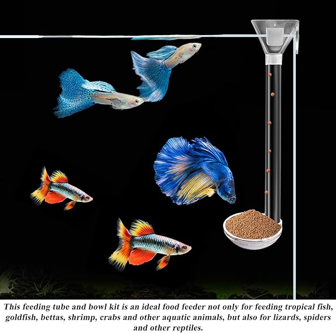 Aquarium Fish Shrimp Feeding Dish Set, Shrimp Feeding Dish Set, Transparent Shrimp Feeding Adjustable Tube with Feeding Ring, Cleaning Brush for Fish Tank and Preventing Food Scattering (Small)-PawvioPets