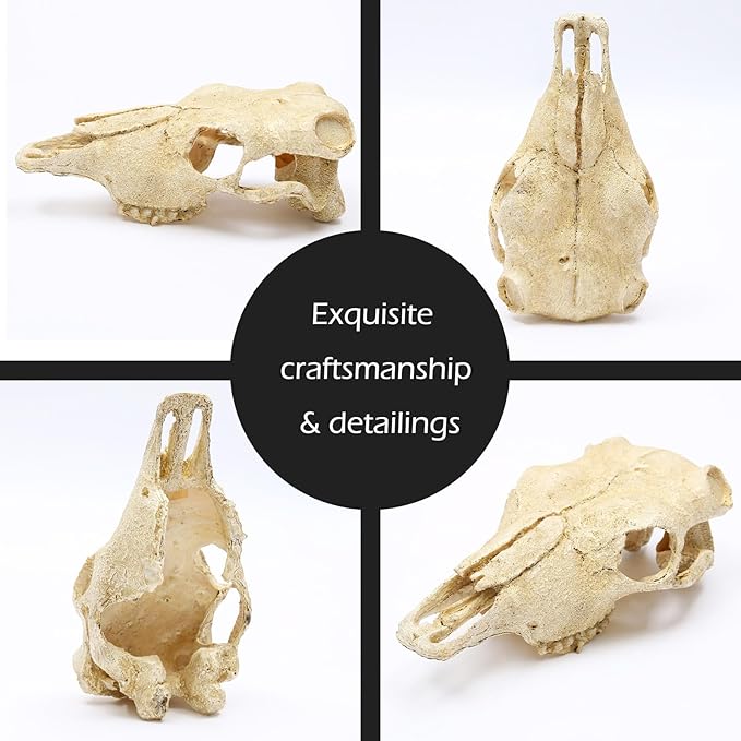 Aquarium Skull Décor Fish Hideout Cave Decorations Betta Tarantula Reptile Snake for Terrarium Ornament Dinosaur Animal Large Bones Halloween-PawvioPets