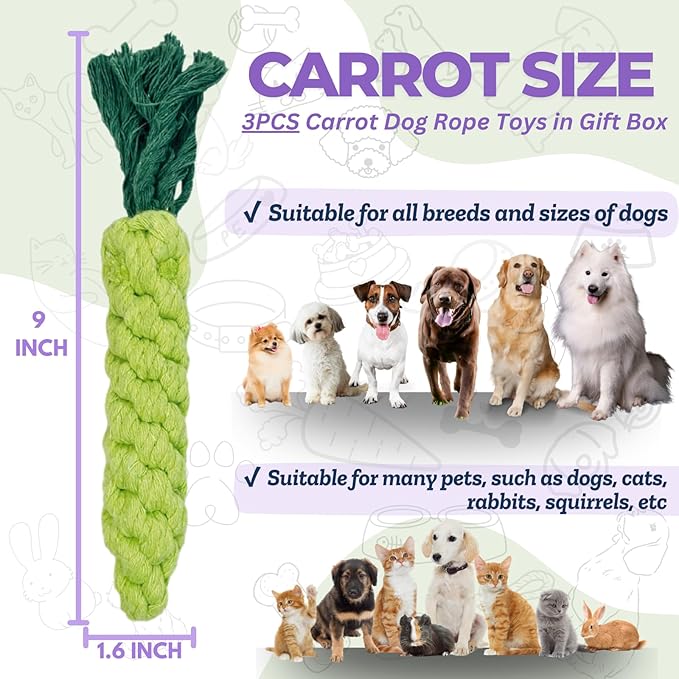 3PCS Green Woven Pet Chew Set, Dog Chew Accessories, Cat Interactive Chews, Safe & Durable Braided Chews for Dogs, Cats & More Pets-PawvioPets