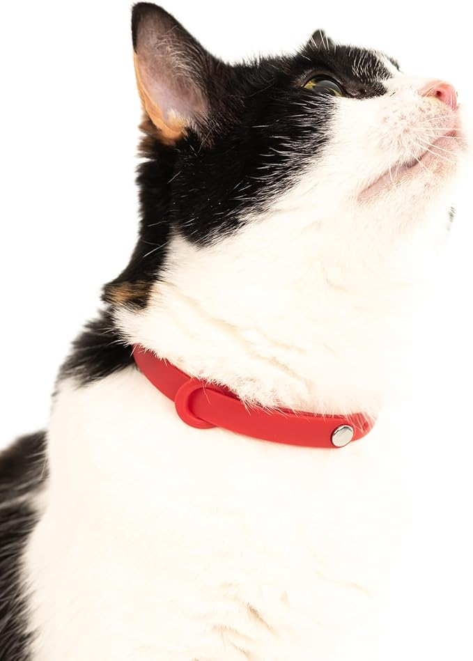 Cat Collar 2 Pack - Soft, Comfortable, and Lightweight Safety Breakaway Collar with Name Tag Ring for Outdoor Cats and Sensitive Skin Kittens by Nuvuq (6 ⅞" to 10 ¼", Red)-PawvioPets