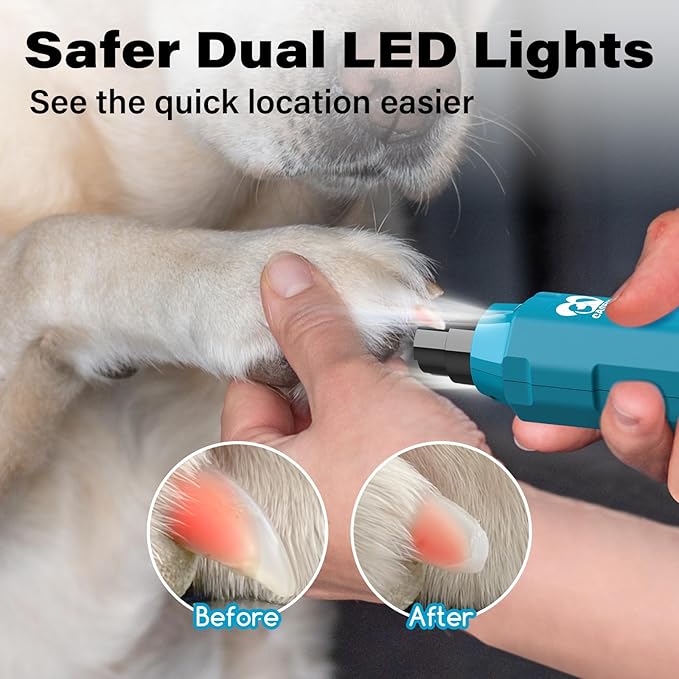 Casfuy 6-Speed Dog Nail Grinder - Newest Enhanced Pet Nail Grinder Super Quiet Rechargeable Electric Dog Nail Trimmer Painless Paws Grooming & Smoothing Tool for Large Medium Small Dogs (Bright Blue)-PawvioPets