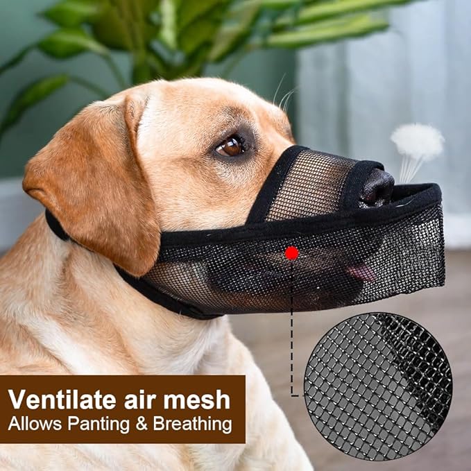 Crazy Felix Nylon Dog Muzzle for Small Medium Large Dogs Poodle Labrador Golden Retriever Doberman, Air Mesh Breathable and Drinkable Pet Muzzle for Anti-Biting Chewing Scavenging(Black,XL)-PawvioPets