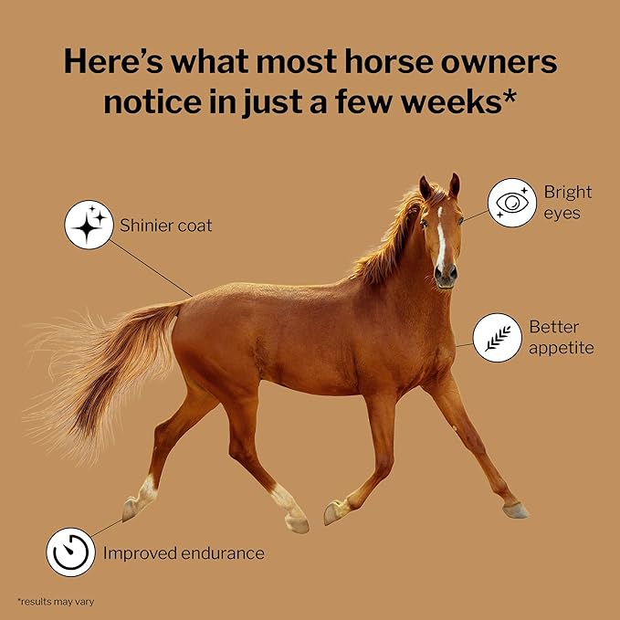 Formula 707 Daily Essentials Equine Supplement, 12 lb Bag – Complete Vitamins and Minerals for Superior Health and Condition in Horses-PawvioPets