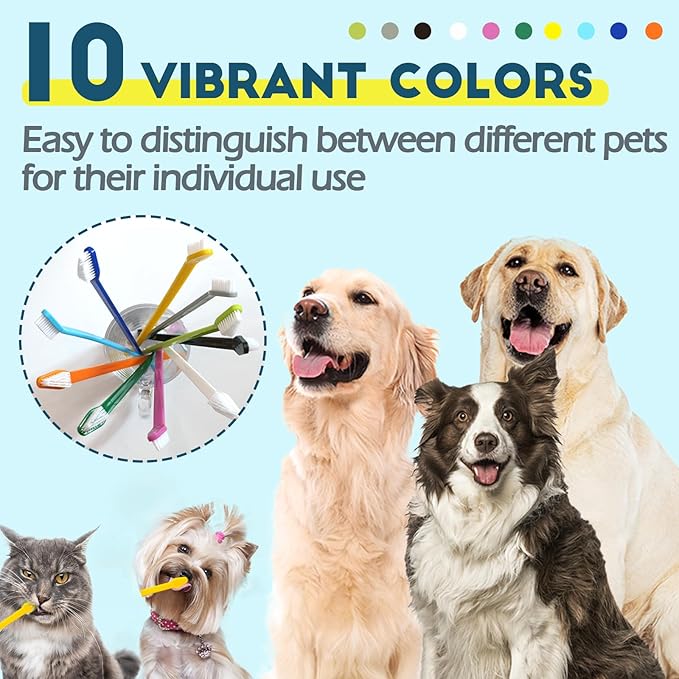 300 Pcs Dog Toothbrush Cat Tooth Brushes Bulk, Double Sided Brushing Kit, Teeth Cleaning Kit Soft Bristles Long Handle, Pet Tooth Brush for Small to Large Dog, Cat, Puppy & Kitten, 10 Colors-PawvioPets