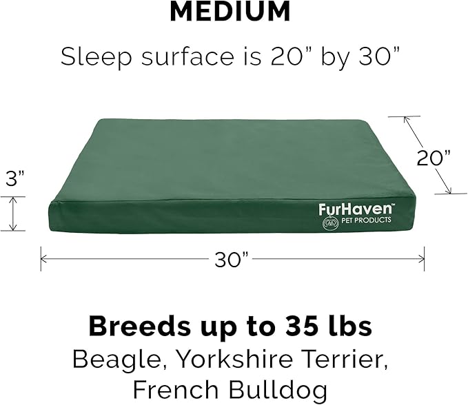 Furhaven Water-Resistant Cooling Gel Dog Bed for Medium/Small Dogs w/ Removable Washable Cover, For Dogs Up to 35 lbs - Indoor/Outdoor Logo Print Oxford Polycanvas Mattress - Forest, Medium-PawvioPets