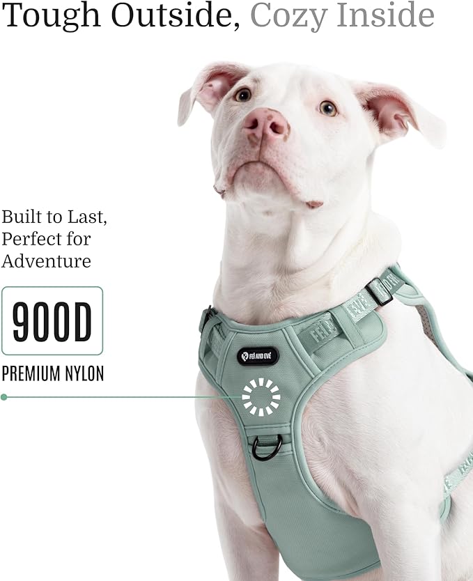 2025 New Edition, Fei & Eve MagEase Dog Harness - 3-Second Magnetic Buckles | 3-Point No-Pull Control | Heavy-Duty 900D Nylon | Dual Safety Handles | Breathable Mesh | Adjustable Fit | X-Large, Green-PawvioPets