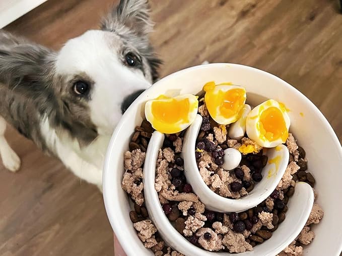 Ceramic Slow Feeder Dog Bowls Elevated for Small and Medium Breed with Wooden Stand, 1.5 Cups Dog Dishes to Slow Down Eating, Anti-Gulping Pet Feeding Dishes,White-PawvioPets