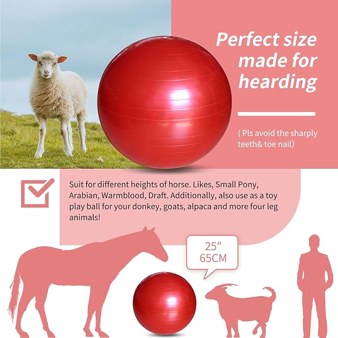 17-Inch Equine Ball for Play & Training - Anti-Burst, Mega Horse Soccer Ball for Goat, Donkey-PawvioPets