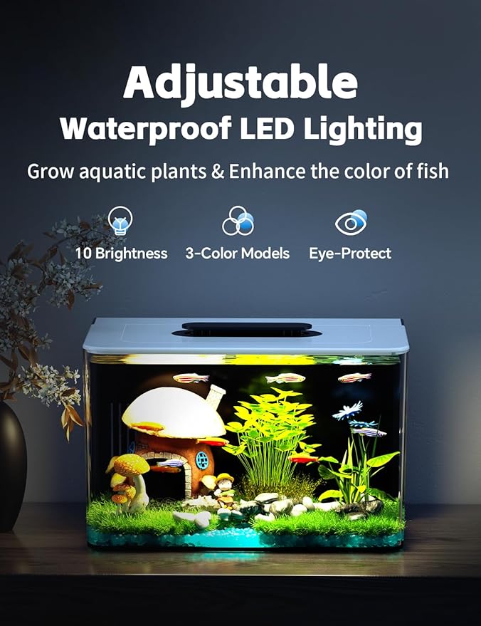 Betta Fish Tank, 2.5 Gallon Aquarium Kit with Filter, Light, Self Cleaning, Oxygenation, Small All in One Starter Fish Tank for Goldfish, Guppy, Shrimp, Desktop, Acrylic-PawvioPets