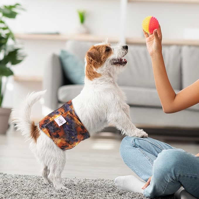 CuteBone Dog Diapers Male Washable Belly Band for Male Dogs Wraps Black 3pcs a Pack DM56M-PawvioPets