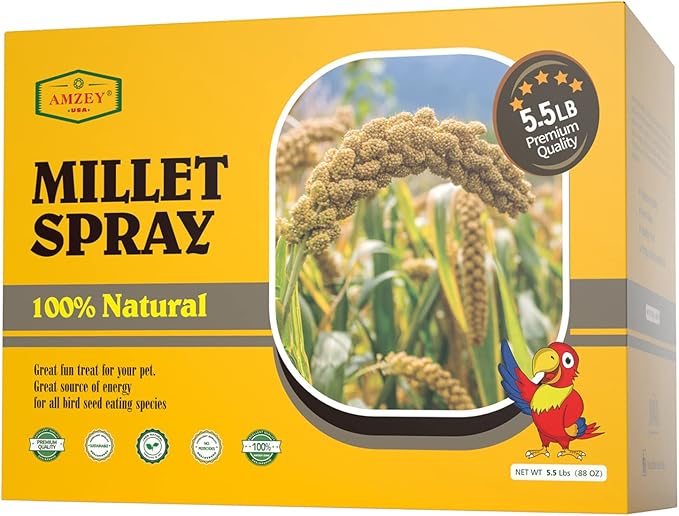 Amzey 5.5 LB Spray Millet for Parakeets, 100% Natural Dried Millet Grain for Birds, Non-GMO Bird Treat for Cockatiel, Finches, Parrots & Lovebirds-PawvioPets