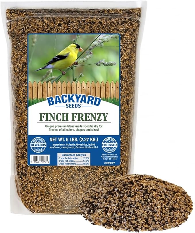 CountryMax Backyard Seeds Finch & Small Songbird Frenzy Wild Bird Seed Mix – 5 lb Bag | Premium Blend with Nyjer, Millet, Sunflower Chips | Attracts Goldfinches, House Finches, Chickadees-PawvioPets