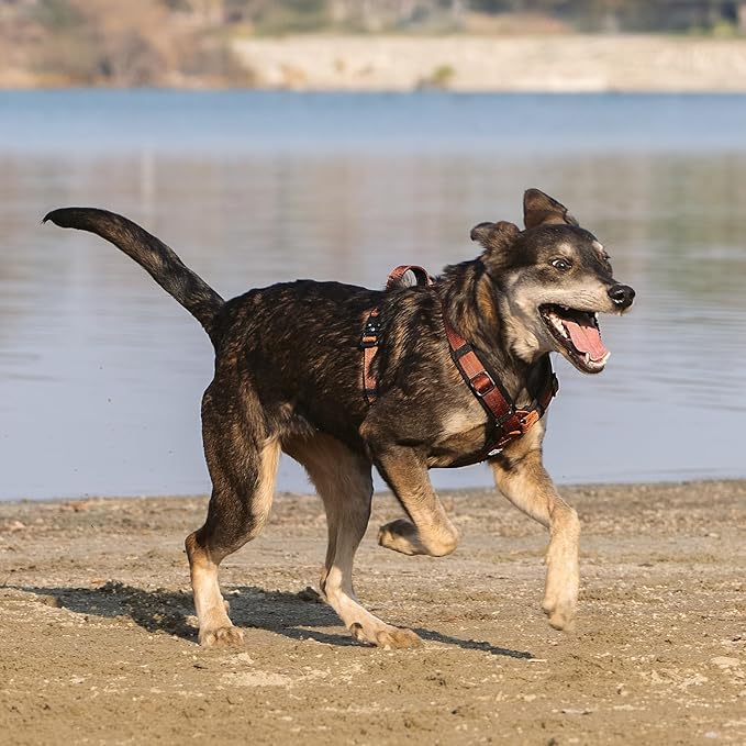 CLEPAWS Dog Harness for Medium Dogs, No Pull Dog Harness Easy Walk with Metal Hardware, Ergonomic Y-Shaped Design, Soft Padding, Padded Handle, Durable High-Tensile Nylon (Canyon Red, M)-PawvioPets
