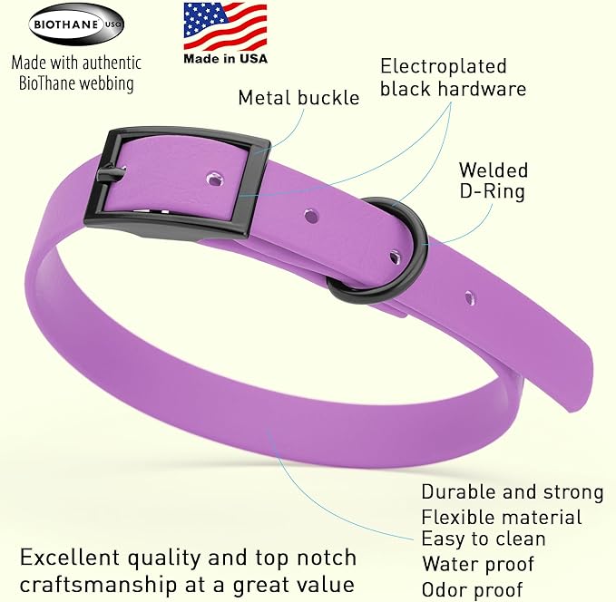 Dogline Biothane Waterproof Dog Collar Strong Coated Nylon Webbing with Black Hardware Odor- Proof for Easy Care Easy to Clean High Performance Fits Small Medium or Large Dogs, Amethyst Purple-PawvioPets
