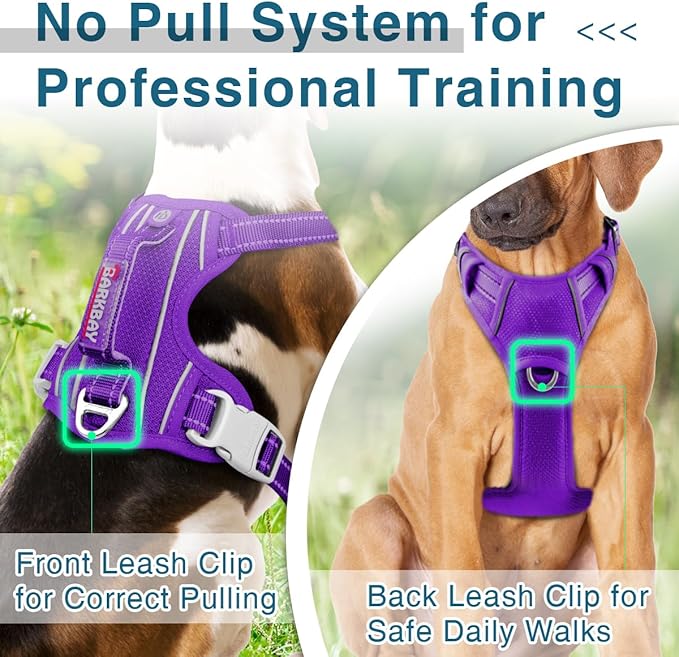 BARKBAY Dog Harness No Pull with ID Tag Pocket - Heavy Duty, Reflective, Easy Control for Large Dogs(Purple,XL)-PawvioPets