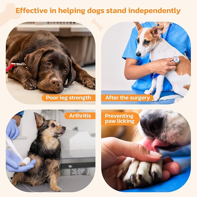 Anti-Slip Dog Paw Protector Pads for Senior Dogs, Dog Paw Blue Stickers with Strong Traction on Hardwood Floor, Dog Essentials,12sets(48pcs) XXL (61-80lbs)-PawvioPets