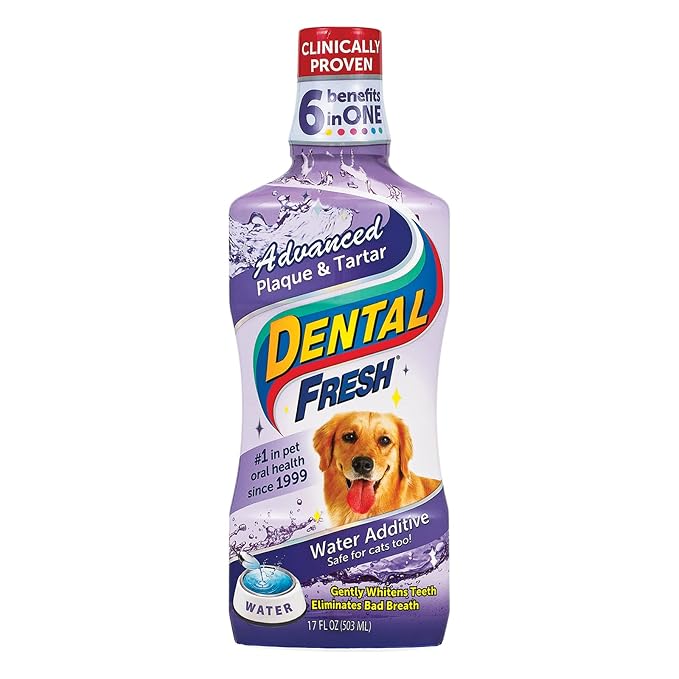 Dental Fresh Advanced Plaque and Tartar Water Additive, 17oz – Dog Teeth Cleaning Formula to Freshen Breath and Improve Cat & Dog Dental Care-PawvioPets
