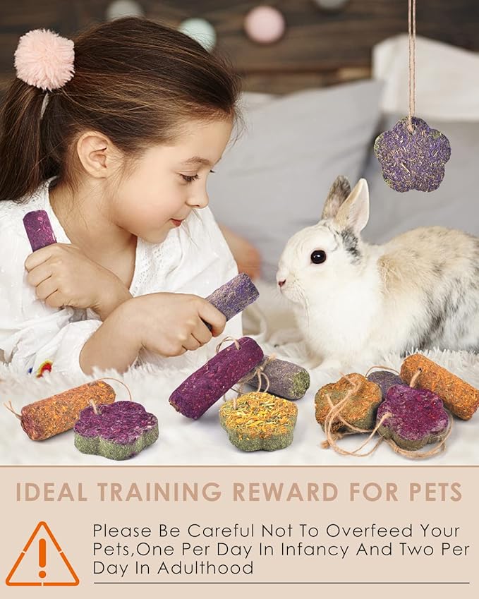 Bissap 12PCS Rabbit Chew Sticks, Hanging Chew Sticks & Cakes Timothy Hay Carrot Strawberry Treat for Bunny Chinchilla Guinea Pig Hamster and Other Small Pets Molar Snack Toy-PawvioPets