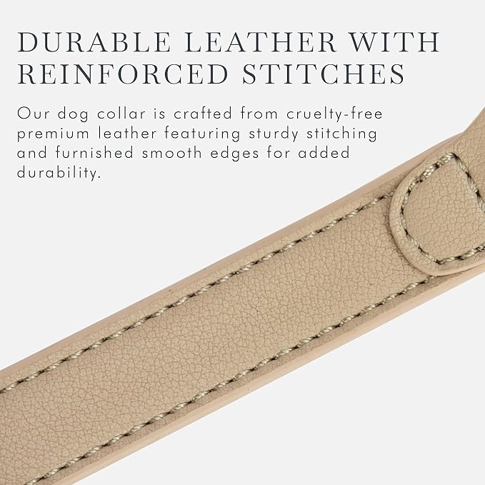 Cupertino Dog Collars, Harnesses & Leashes Made from Vegan Leather with Dog Tracker Device Holder Adjustable Dog Collar (Medium, Beige)-PawvioPets