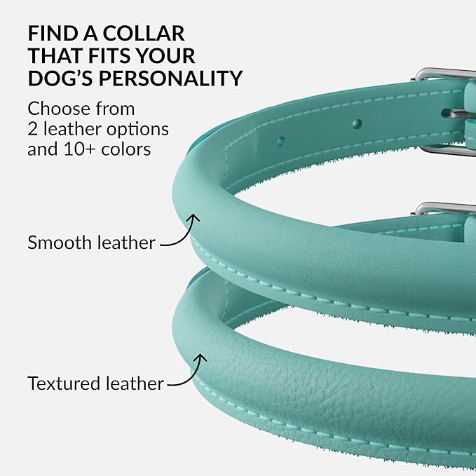 CollarDirect Rolled Leather Dog Collar, Soft Padded Round Puppy Collar, Handmade Genuine Leather Collar Dog Small Large Cat Collars 13 Colors (8-11 Inch, Mint Green Smooth)-PawvioPets
