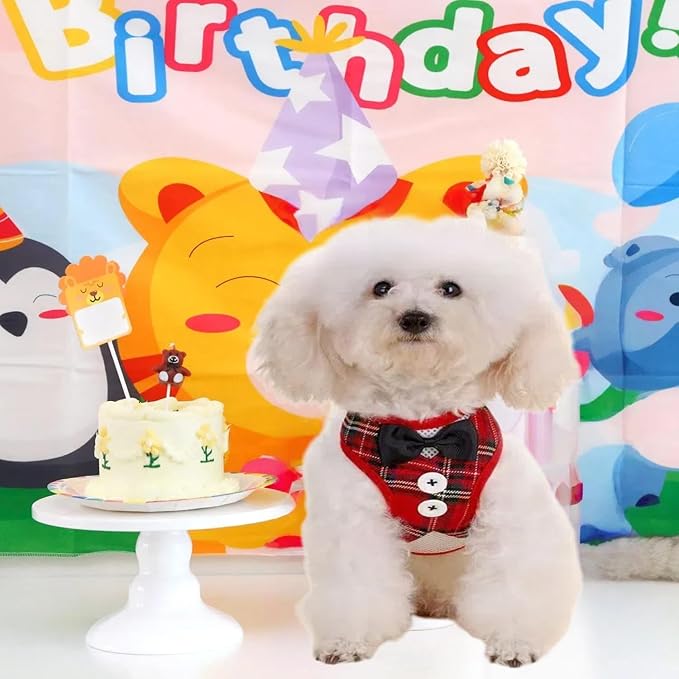 Dog Tuxedo for Wedding, Formal Pet Suit with Bow Tie and Leash, Adjustable Dog Costume for Small Medium Large Dogs, Birthday Christmas Halloween Party Apparel, M（8-14LB）-PawvioPets