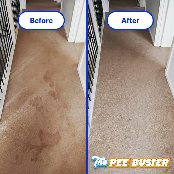 Generic Peebuster Pet Stain & Odor Remover - Cleaning Spray for Dog and Cat Urine, 1 Count (Pack of 1)-PawvioPets