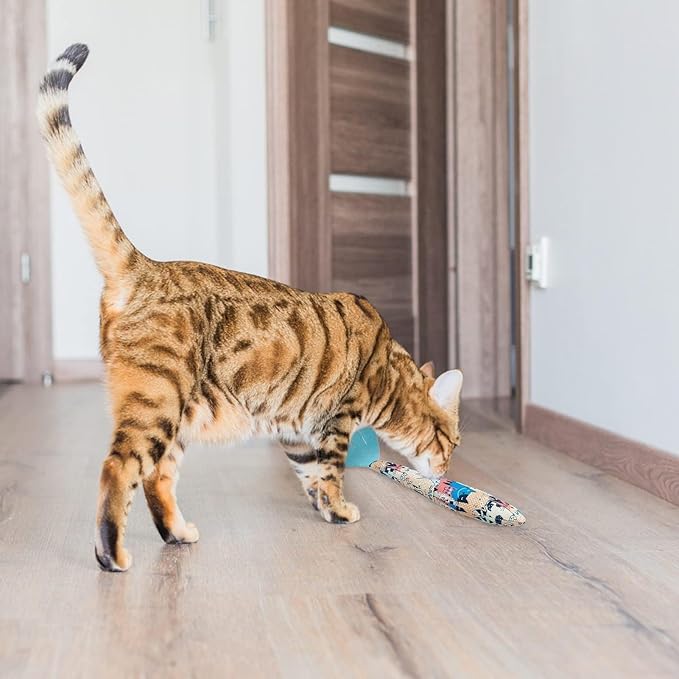 BINGPET 6 Pcs Catnip Toys for Cats,Interactive Cat Toy for Bored Indoor Kitten Adult Cats,Cat Fish Toy Filled with Natural Catnip,Cute Crinkle Cat Toy Kitten Toys Cat Chew Kicker Toy for All Breeds-PawvioPets