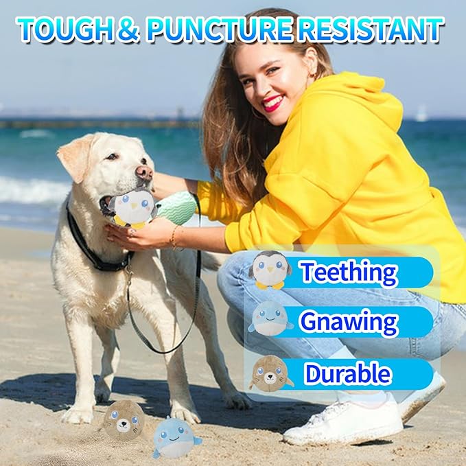 DKING 3Pack Squeaky Dog Balls,2 in1 Funny Puppy Ball Toys,Birthday Dog Toy for Small Medium Dogs (Ocean Ball)-PawvioPets