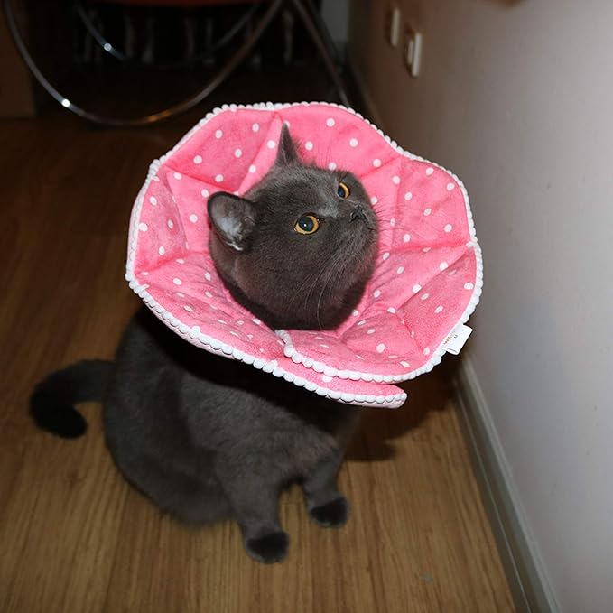 Adjustable Dog Cat Cone,Soft Recovery Cat Cone Collar,Dog Protective Collar for Cats,Puppy and Small Dogs,Pink-PawvioPets