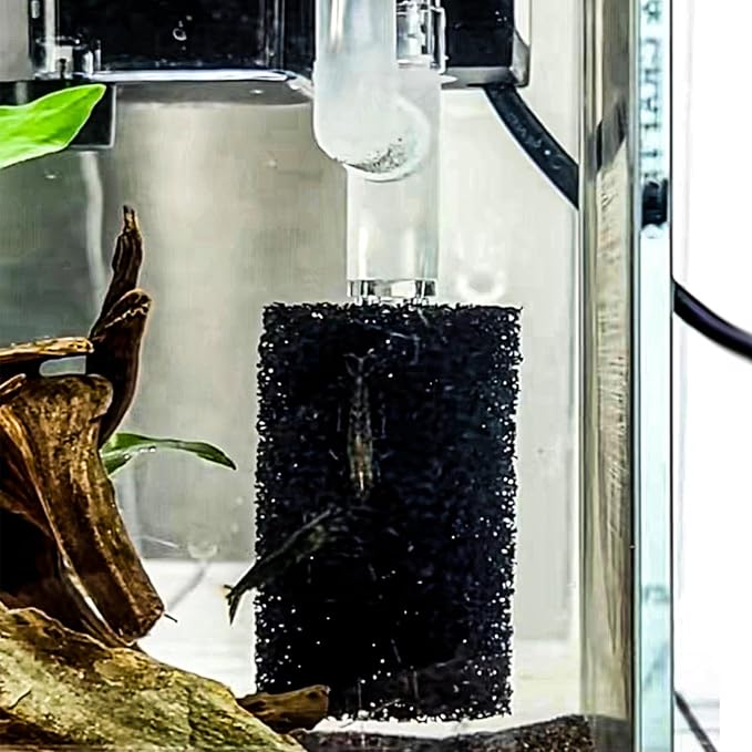 6X Pre-Filter Sponge for Aquarium Shrimp Fry Fish Tank Filter Pump Prefilter Sponge Replacement Foam Cover 2.4 X 1.4 Inch with 0.4" Hole Diameter-PawvioPets